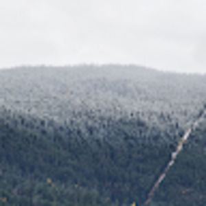 Meet your Posher, Danny